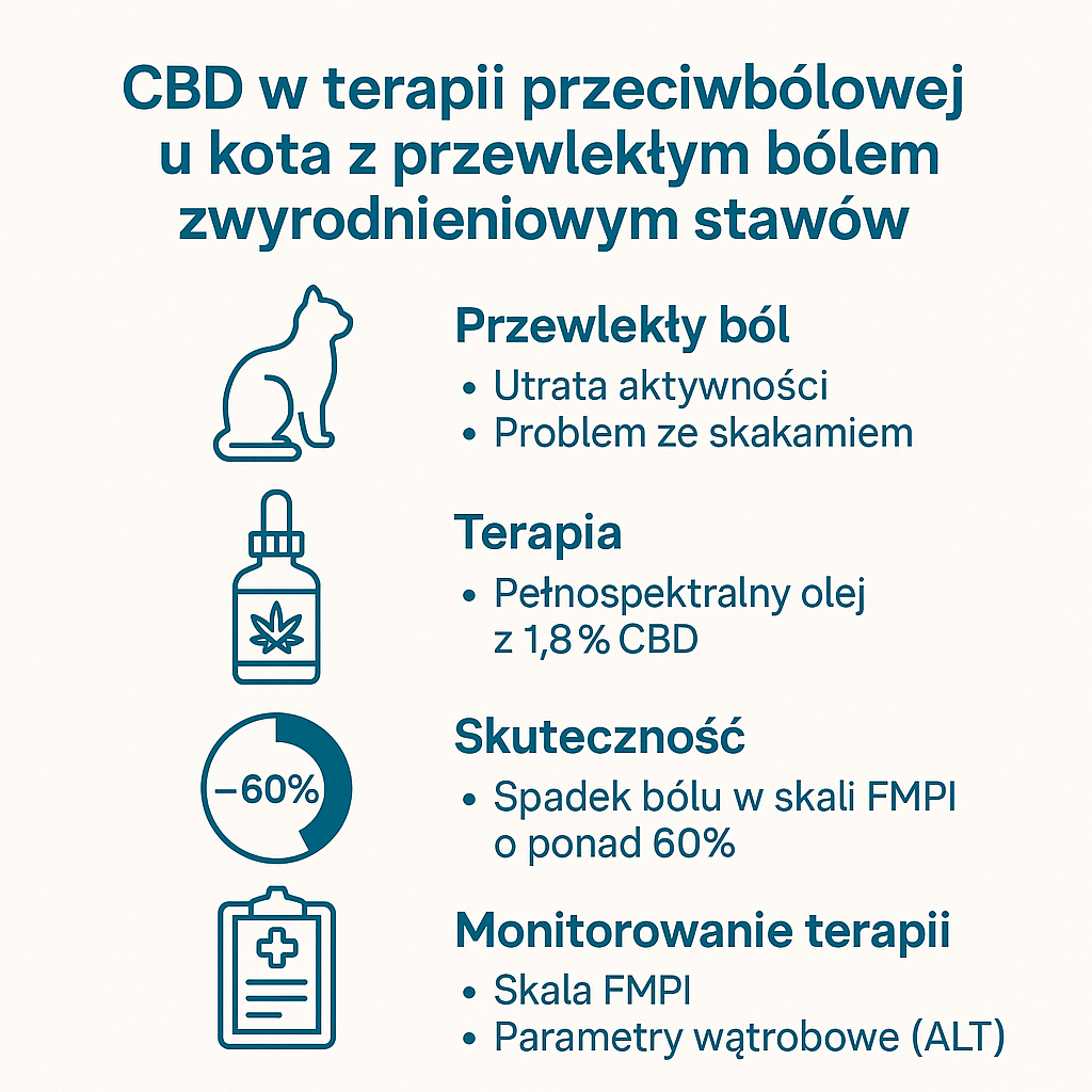 CBD w terapii przeciwbólowej u kota z przewlekłym bólem zwyrodnieniowym stawów