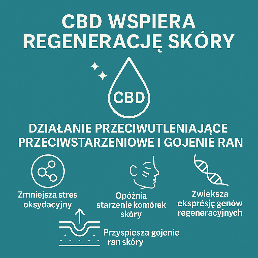 CBD wspiera regenerację skóry